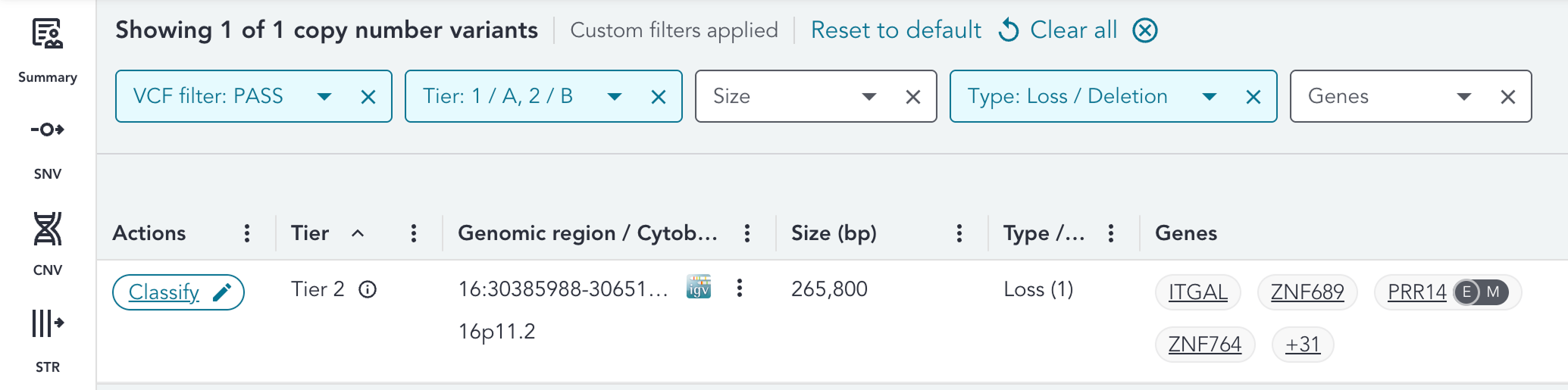 custom-filters