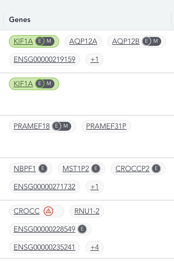 cnv-genes-grid