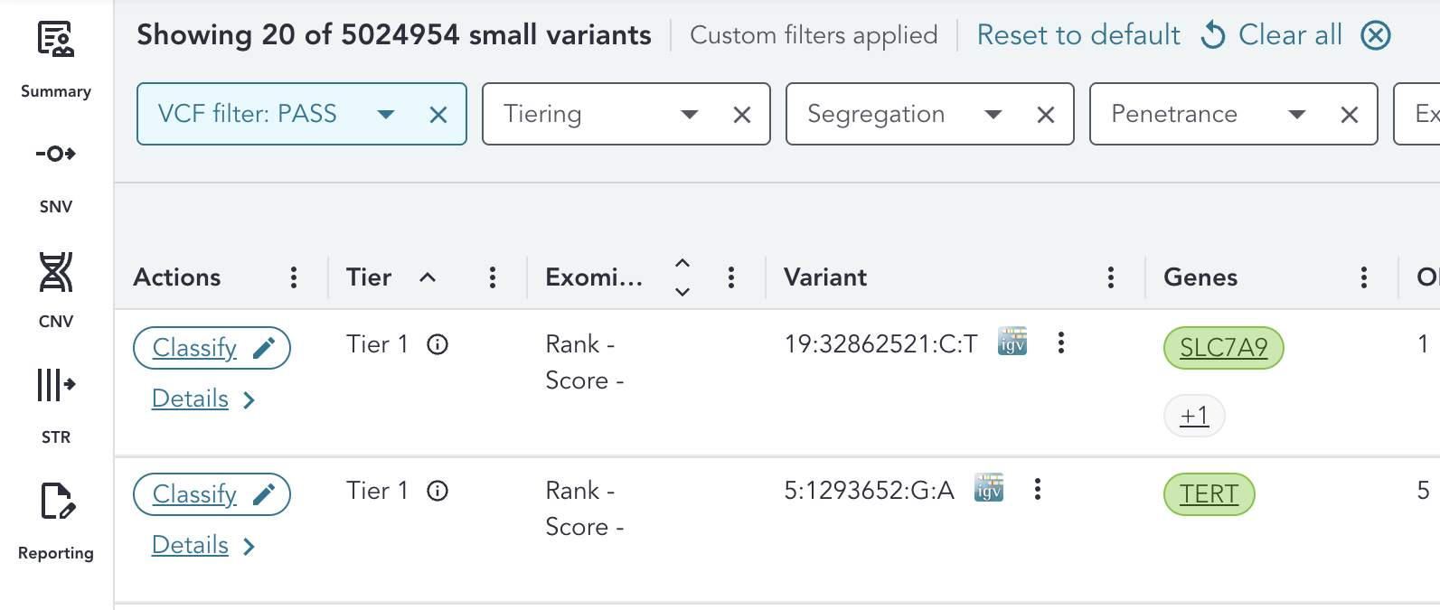 custom-filters